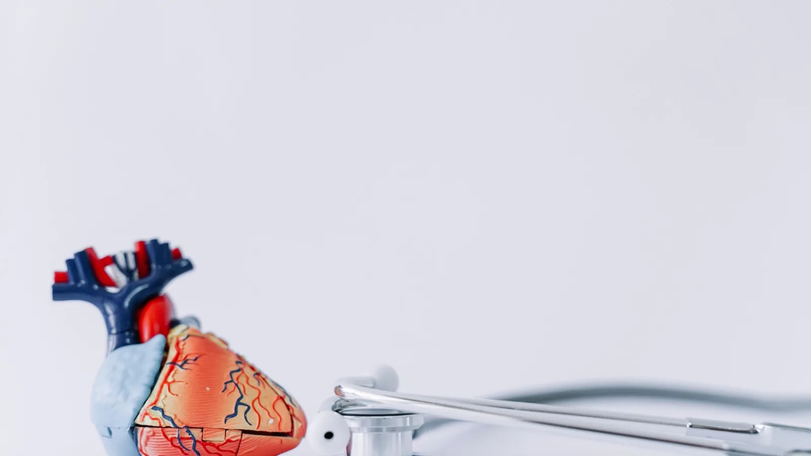 ¿Qué médico trata hipertensión arterial?