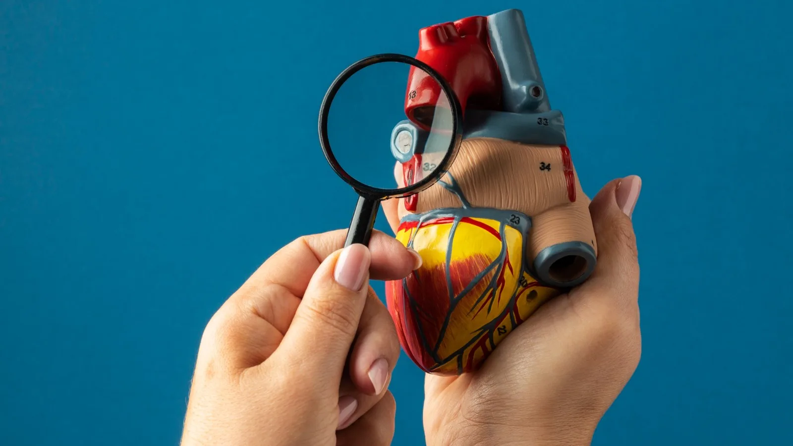 Abordaje integral de la pericarditis en la CDMX